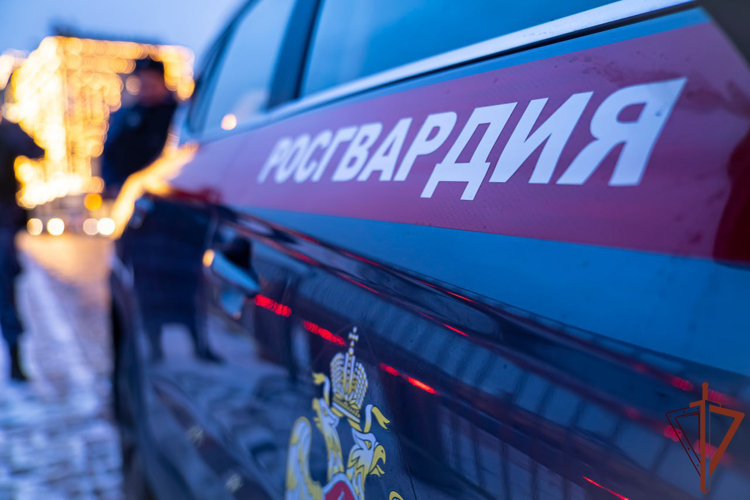 Росгвардейцы вытащили машину из снежного заноса на оживленной дороге в Москве (видео)