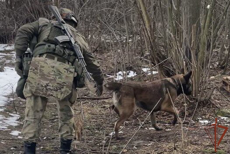 Мероприятия, посвященные Дню инженерной службы войск национальной гвардии, прошли в Сибири