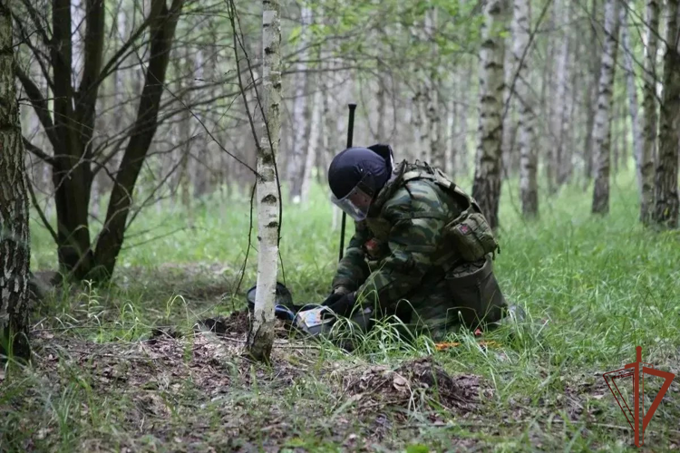В Мордовии росгвардейцы приняли участие в межведомственном антитеррористическом учении (видео)