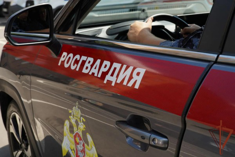 В Москве росгвардейцы задержали мужчину с крупной партией наркотиков (видео)
