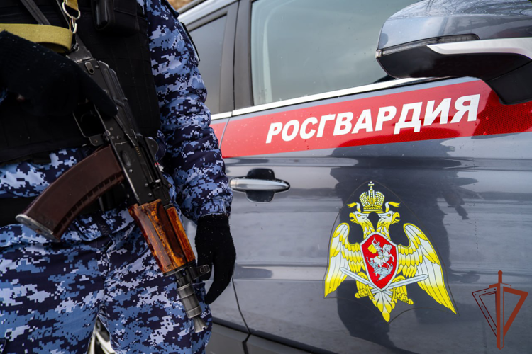 В Москве росгвардейцы задержали мужчину, подозреваемого в незаконном обороте наркотиков (видео)