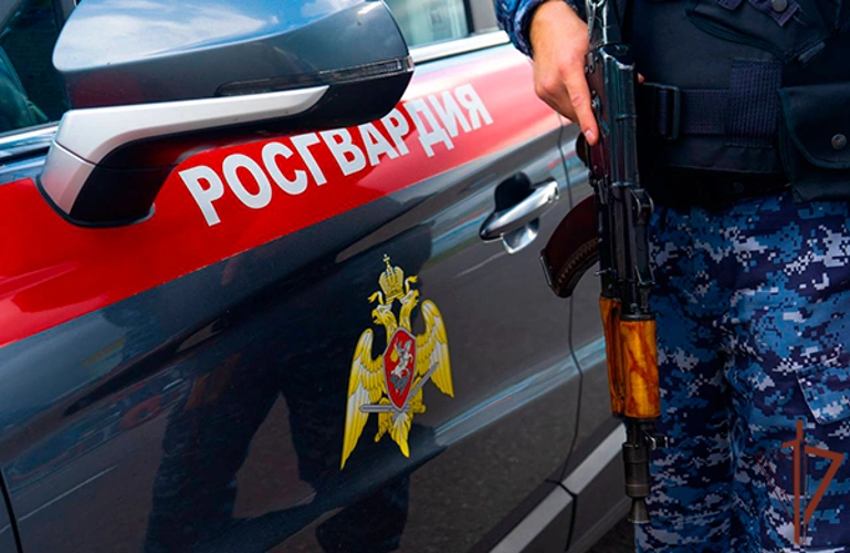 Росгвардейцы задержали рецидивиста, совершившего ДТП на угнанном автомобиле в Подмосковье (видео)