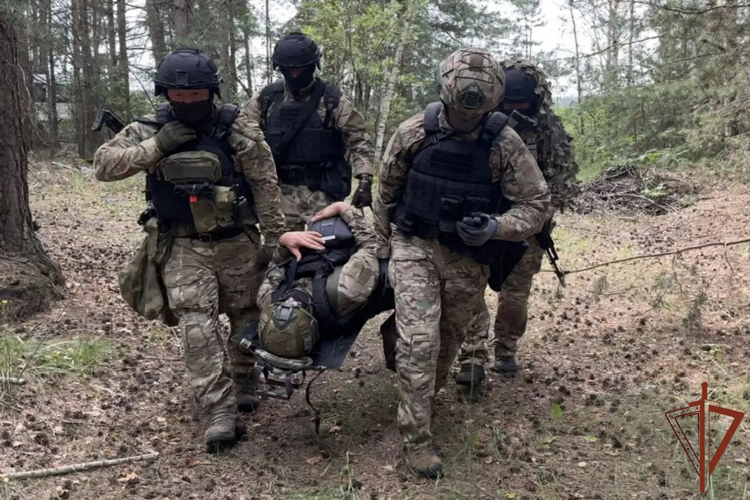 Спецназ Росгвардии провел комплексную тренировку в полевых условиях в Тюменской области (видео)