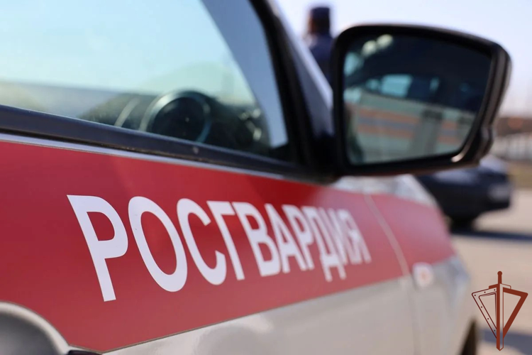 Росгвардейцы задержали нетрезвого водителя в Нижегородской области (видео)