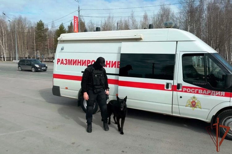 Росгвардия обеспечила безопасность торжеств, посвященных 81-й годовщине Великой Победы на Урале