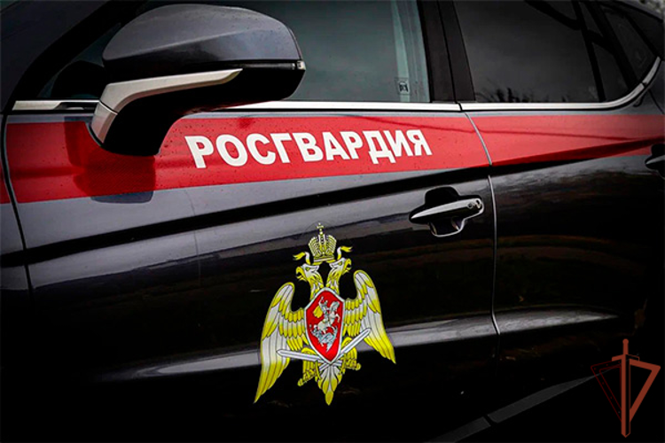 В Москве росгвардейцы помогли подростку, повредившему руку при падении с самоката (видео)