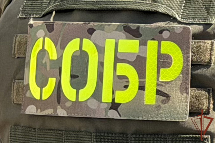 На Сахалине при силовой поддержке СОБР «Редут» пресечена попытка убийства мужчины с инвалидностью