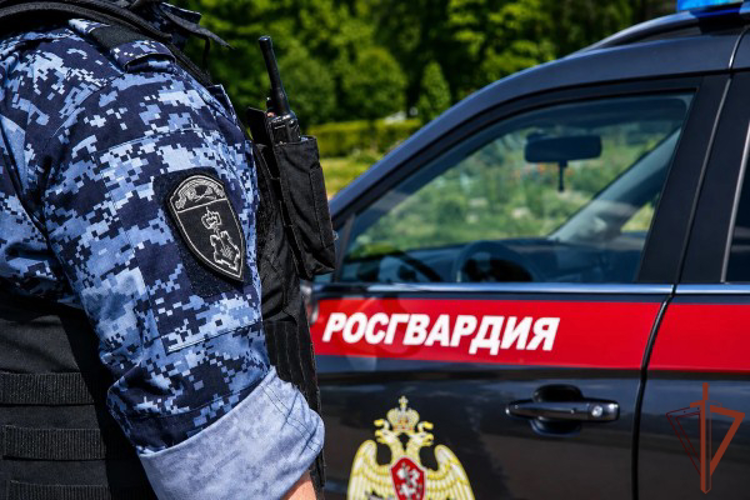 В столице росгвардейцы задержали мужчину, устроившего дебош в букмекерской конторе (видео)