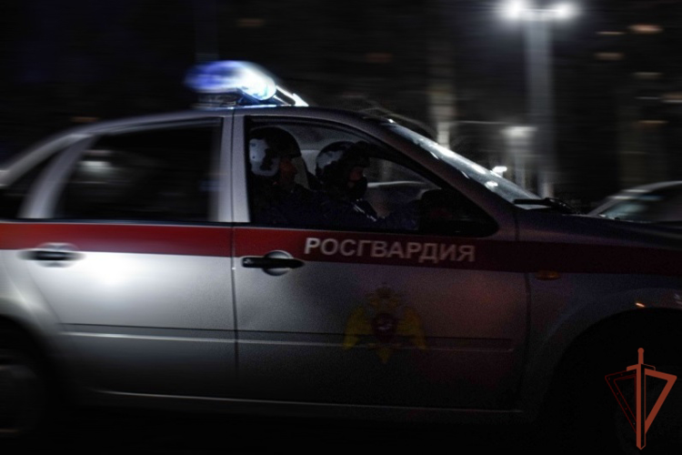 Росгвардейцы в Красноярске задержали подозреваемого в нападении на прохожего и хранении наркотиков (видео)
