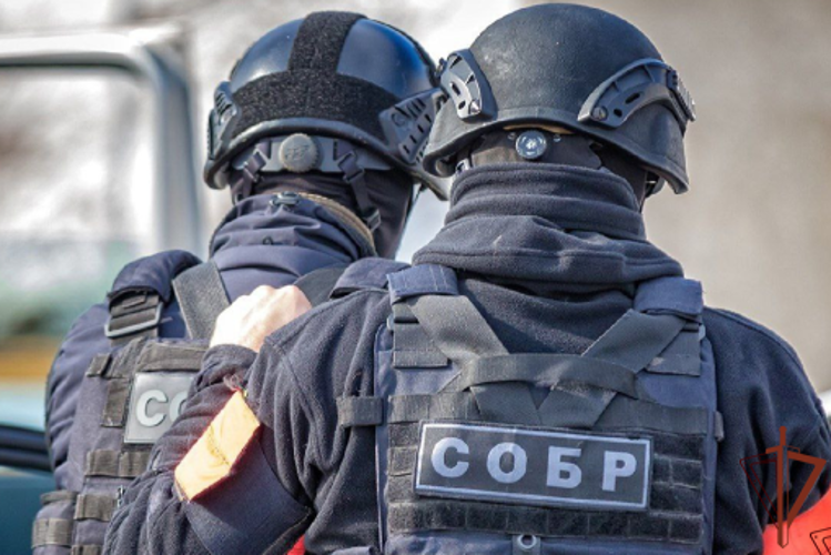 При содействии СОБР Росгвардии в Красноярске задержаны подозреваемые в серии краж на сумму более 5 млн рублей
