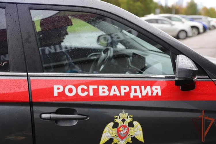 В Москве росгвардейцы задержали нарушителя, управлявшего автомобилем с подложными государственными номерами (видео)
