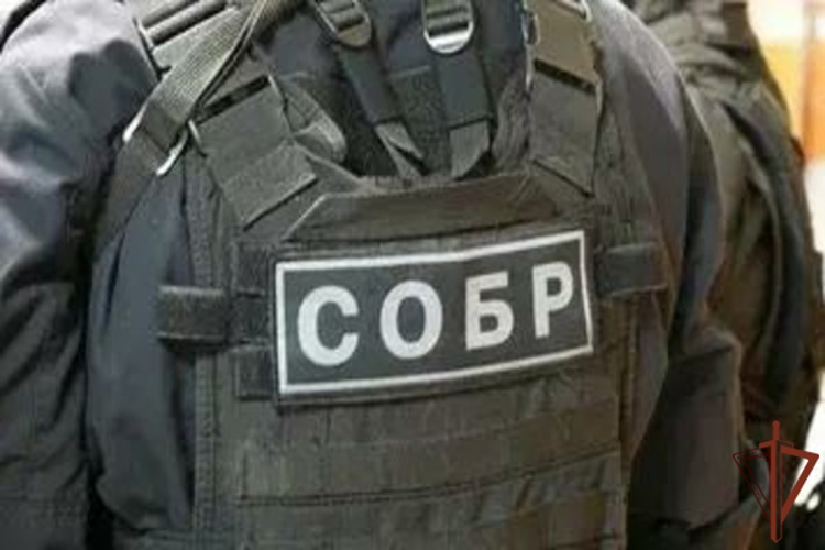 При участии ОГВ(с) в Ингушетии задержаны предполагаемые пособники террористов