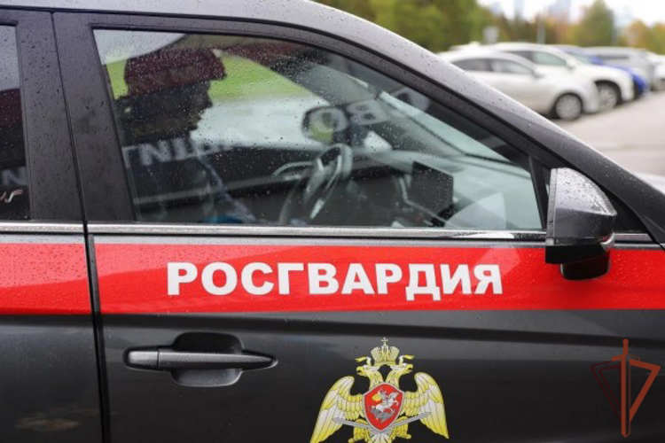 В Москве сотрудники Росгвардии задержали мужчину, находящегося в федеральном розыске (видео)