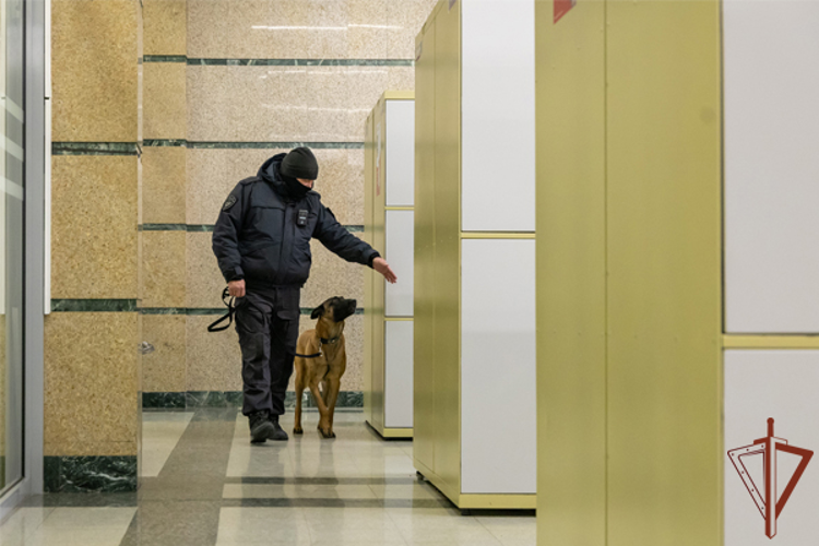 На Южном Урале сотрудники Росгвардии обеспечили безопасность матча Континентальной хоккейной лиги
