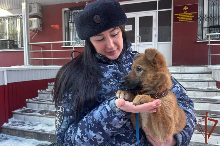В Самаре сотрудница Росгвардии помогла найти потерявшегося щенка (видео)