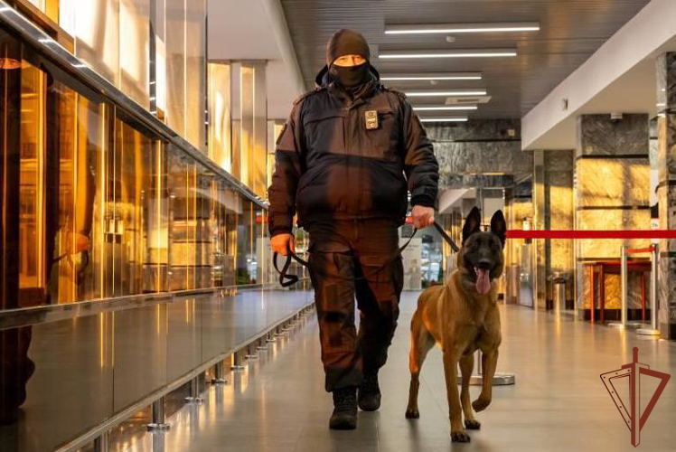 В Челябинске Росгвардия обеспечила охрану порядка на всероссийских соревнованиях по фигурному катанию