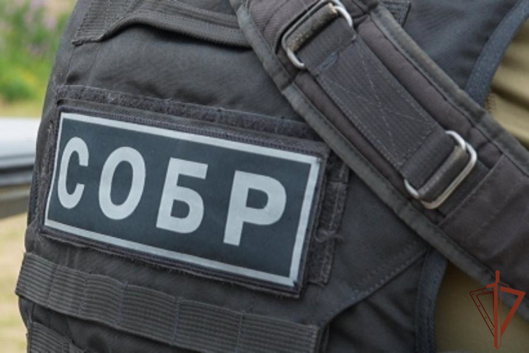 При содействии СОБР Росгвардии пресечена деятельность подпольного казино в Архангельской области (видео)