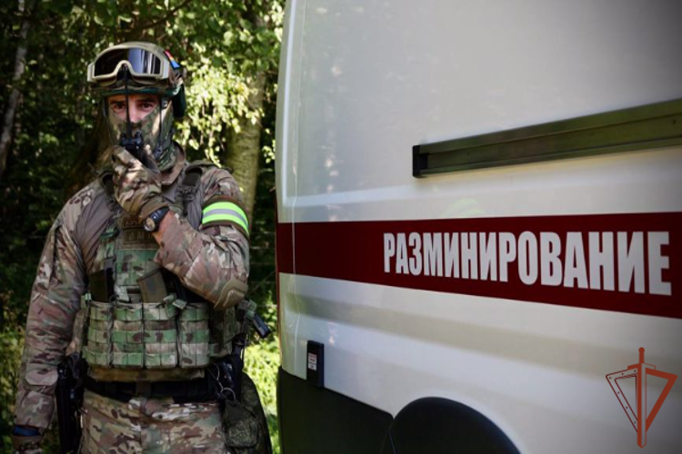 В Северной Осетии сотрудники Росгвардии идентифицировали опасный предмет