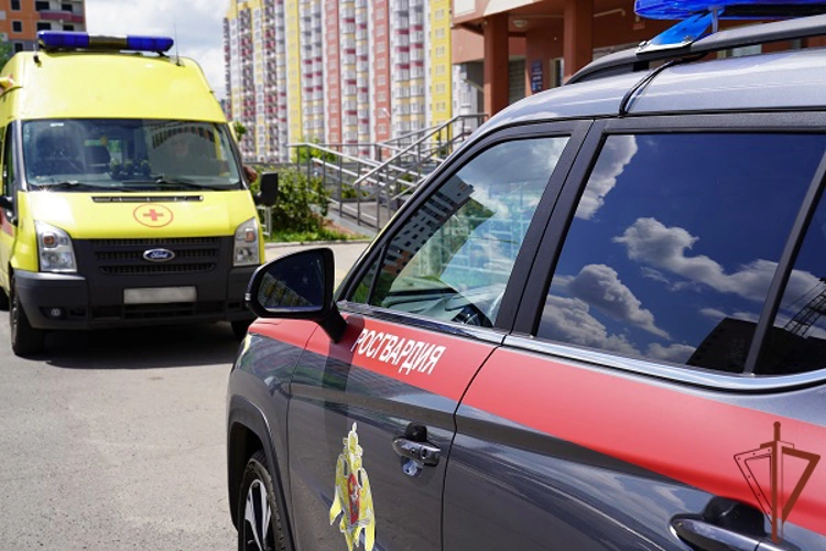 Росгвардейцы эвакуировали жильцов многоэтажки в Курске после атаки БПЛА