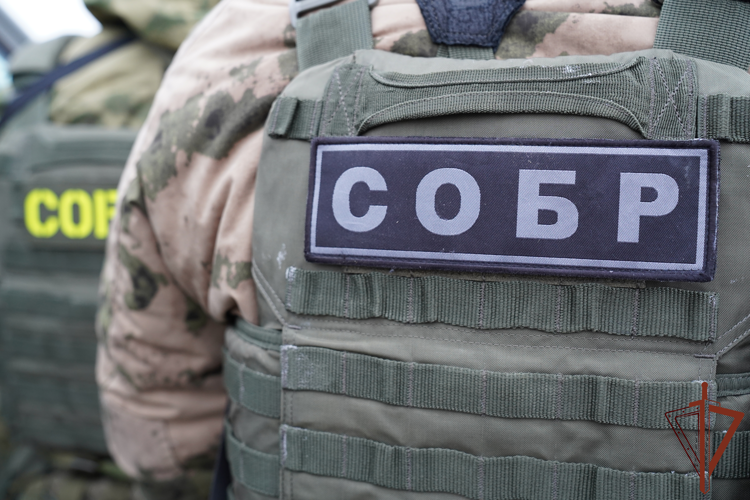 В Курской области при содействии спецназа Росгвардии задержаны два брата, подозреваемые в покушении на сбыт наркотиков в особо крупном размере