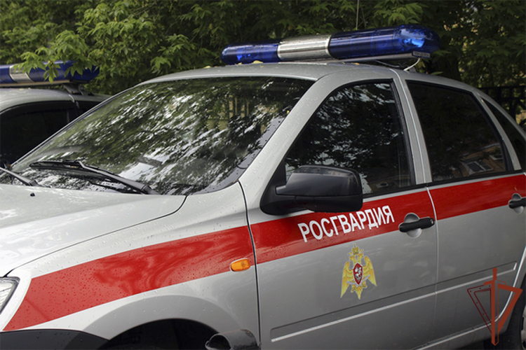 На Ставрополье росгвардейцы пресекли массовую драку