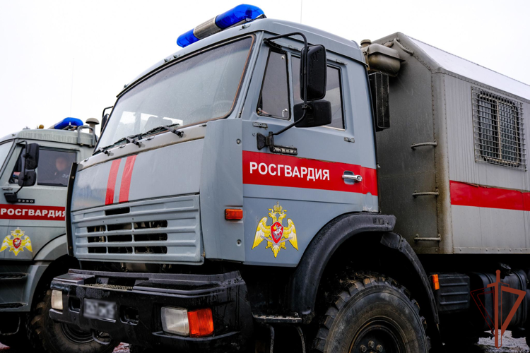 Росгвардия обеспечивает безопасность в период весеннего половодья в Республике Марий Эл (видео)