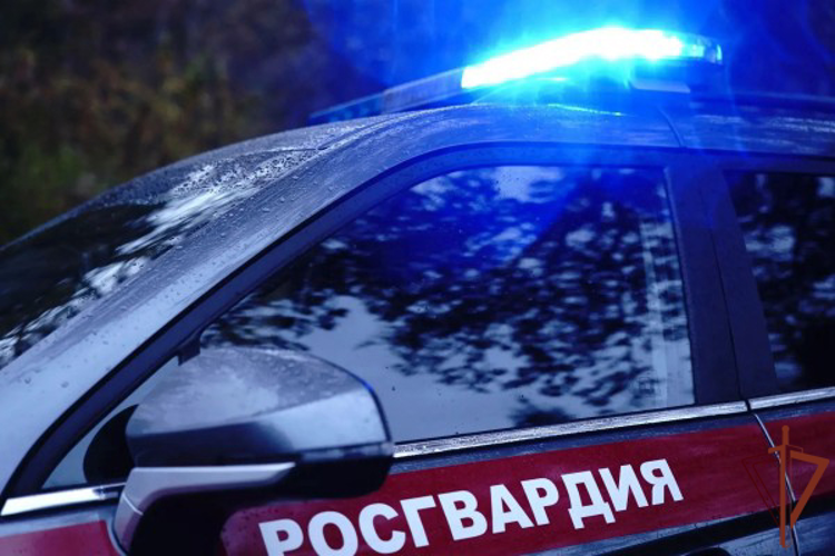 Росгвардейцы уберегли от необдуманного поступка мужчину в столичном торговом центре (видео)