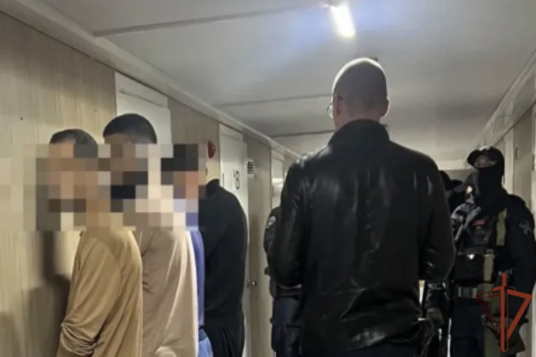 При поддержке Росгвардии прошли рейды по соблюдению миграционного законодательства в регионах Центральной России (видео)