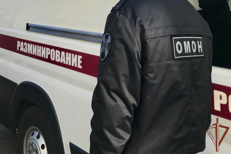 В Северной Осетии росгвардейцы обследовали найденный боеприпас