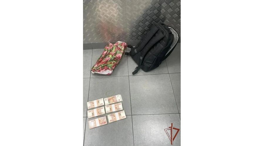 Наряд Росгвардии задержал дроппера, забравшего у пожилой петербурженки около трех миллионов рублей