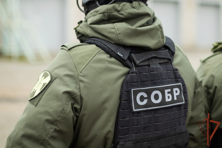 При содействии СОБР Росгвардии задержан подозреваемый в совершении преступления против половой неприкосновенности несовершеннолетней (видео)
