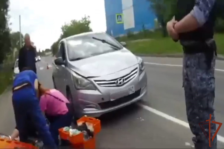 В Ленинградской области росгвардейцы первыми оказались на месте ДТП и вызвали скорую для пострадавшей