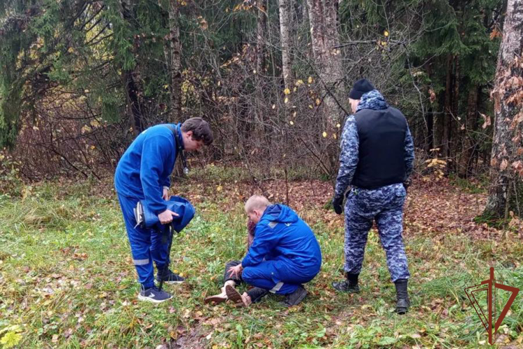 Росгвардейцы пришли на помощь женщине, получившей травму во время сбора грибов в одном из парков Санкт-Петербурга (видео)