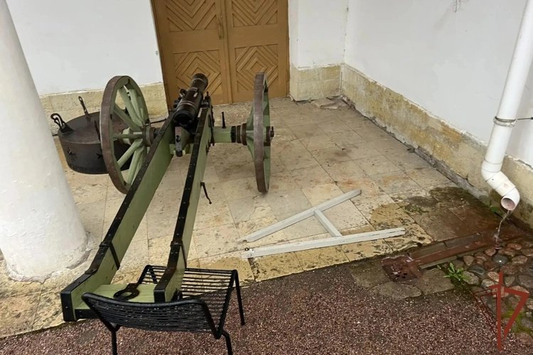 В Гатчине росгвардейцы задержали хулигана, проникшего на территорию дворца