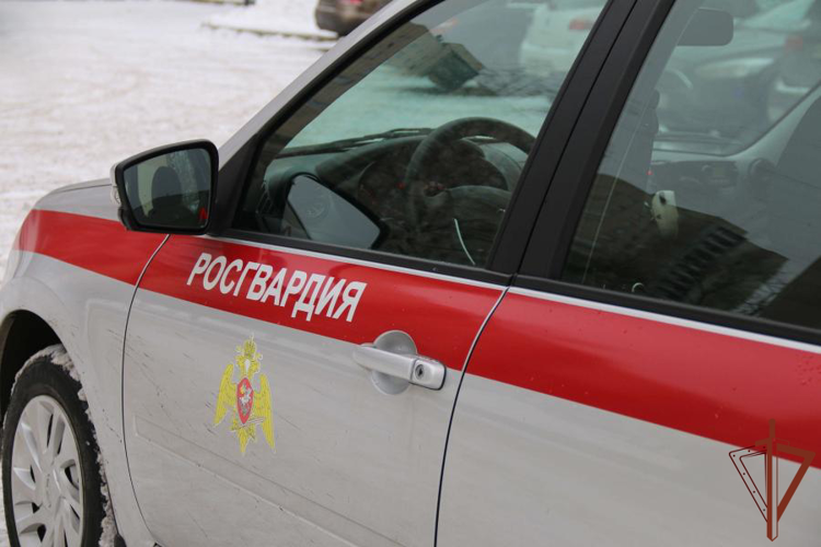 В Санкт-Петербурге росгвардейцы разыскали подростка, не вернувшуюся домой после прогулки