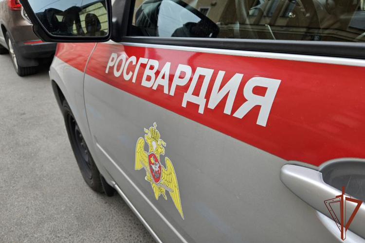Росгвардейцы разыскали и вернули матери потервшегося в парке Санкт-Петербурга сына