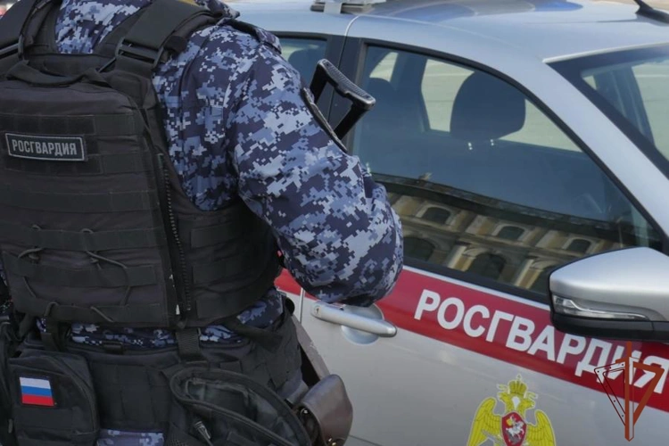 Росгвардейцы задержали стрелявшего из пускового устройства рядом с жилыми домами в центре Санкт-Петербурга (видео)