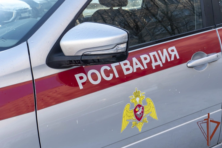 В Санкт-Петербурге росгвардейцы спасли мужчину от падения из окна многоэтажки