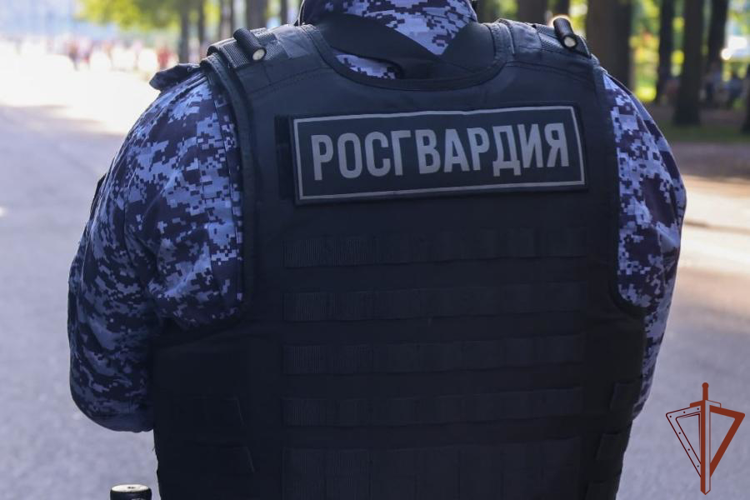 В Гатчине росгвардейцы задержали хулигана, проникшего на территорию дворца