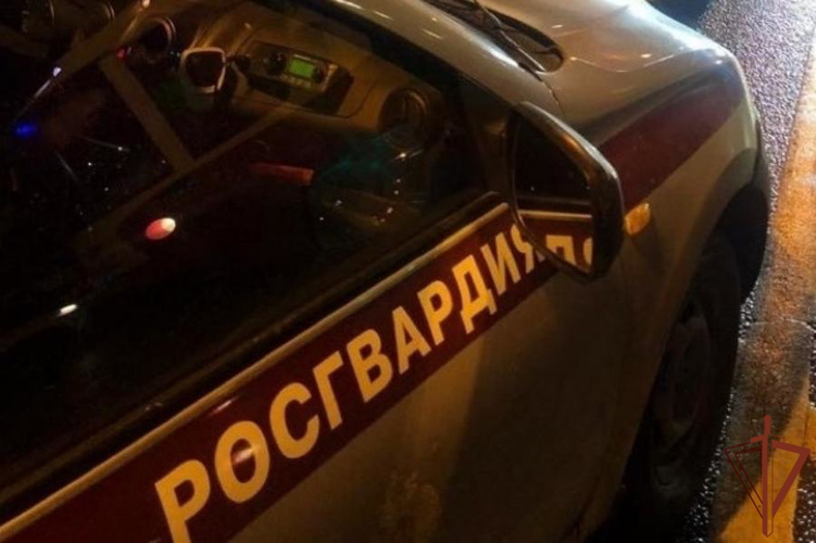Росгвардейцы в Санкт-Петербурге разыскали и вернули матери пропавшую дочь