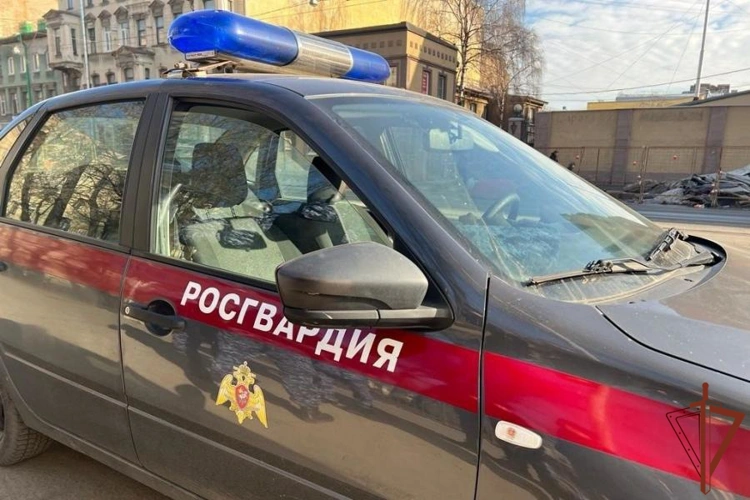 Сотрудники Росгвардии оперативно разыскали пенсионерку, пропавшую в центре Санкт-Петербурга