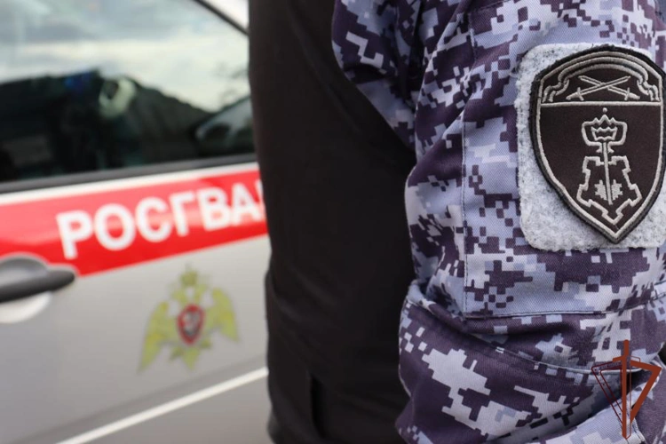 Поджигателя релейных шкафов задержали сотрудники Росгвардии в Санкт-Петербурге