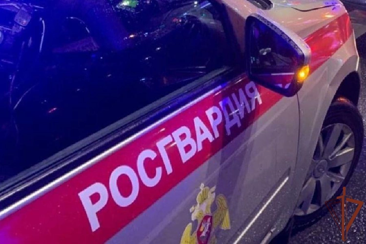 В Санкт-Петербурге сотрудники Росгвардии предотвратили пожар в заброшенном здании роддома