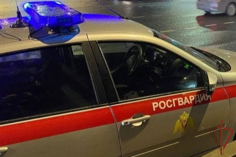 Наряд Росгвардии задержал жителя Москвы, ехавшего на крыше автобуса в центре Петербурга (видео)