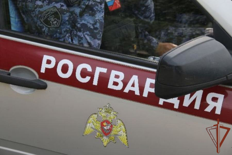В Ленинградской области росгвардейцы вернули родителям потерявшихся сестер