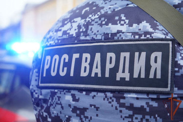 Росгвардейцы задержали девушку, пытавшуюся совершить поджог в Подмосковье (видео)