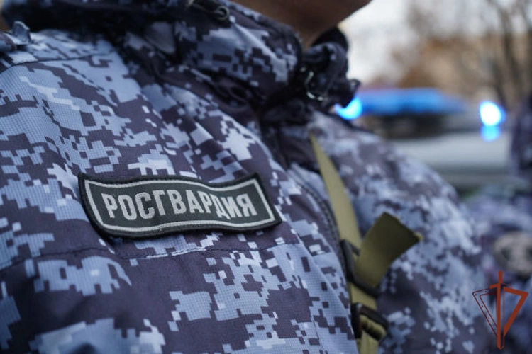 Росгвардейцы задержали мужчину, пытавшегося проникнуть в детский сад в Подмосковье