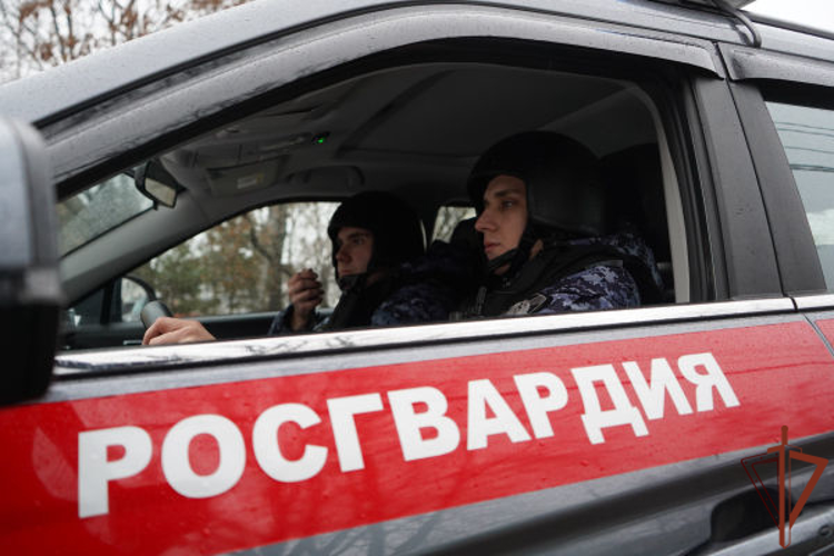Росгвардейцы помогли водителю вытащить автомобиль из сугроба в Подмосковье (видео)