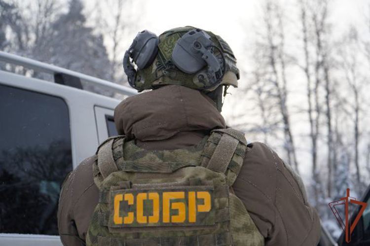 При содействии спецназа Росгвардии задержаны подозреваемые в вымогательстве в Подмосковье (видео)