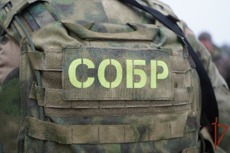 При содействии спецназа Росгвардии задержаны подозреваемые в разбойном нападении и вымогательстве в Подмосковье (видео)